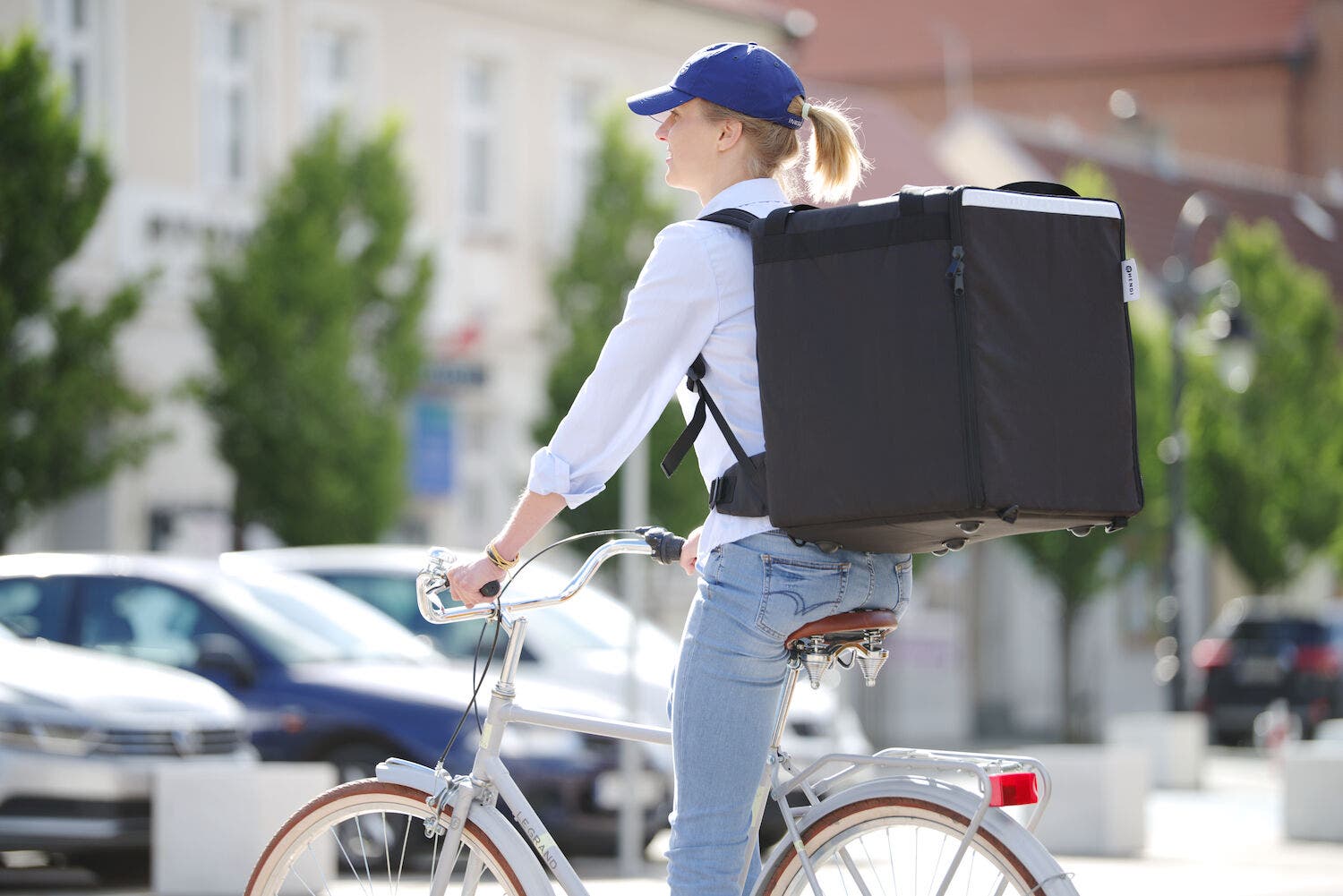 Best bike food delivery bag online